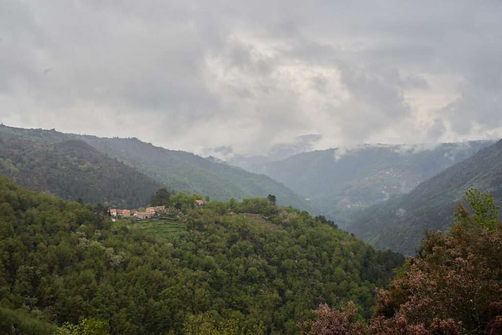 Ruta en Furgoneta por los Cañones del Sil 